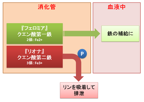 フェロミアとリオナ