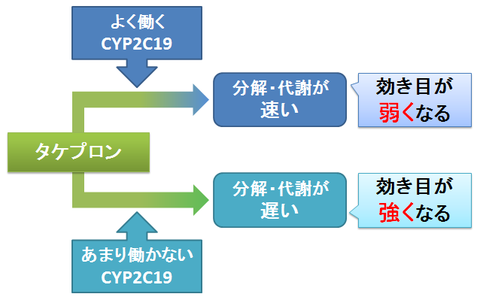 タケプロンとCYP2C19