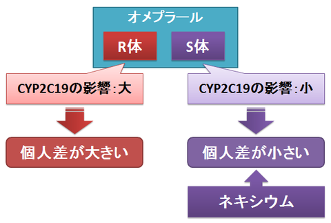 オメプラールのS体とR体～CYP2C19の影響