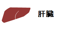index-liver