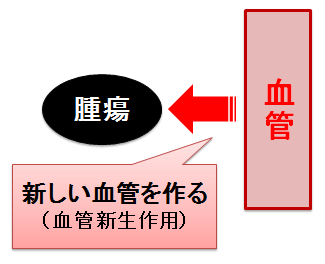 腫瘍の血管新生作用