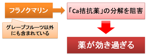グレープフルーツとフラノクマリンの相互作用