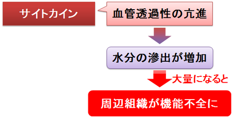 サイトカインの血管透過性と臓器不全