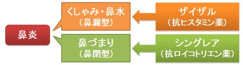 鼻炎に対する抗ヒスタミン薬、抗ロイコトリエン薬