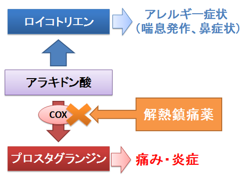 アスピリン喘息とアラキドン酸カスケード