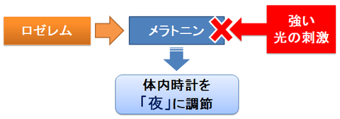 ロゼレム～メラトニンの作用