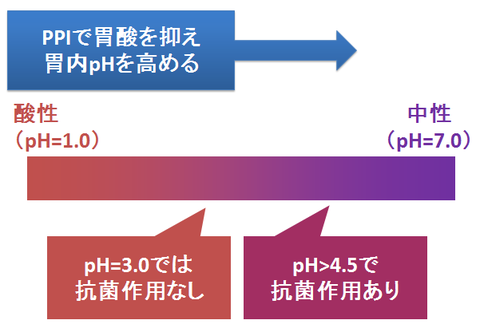 ピロリ除菌のアモキシシリン活性と胃内pH