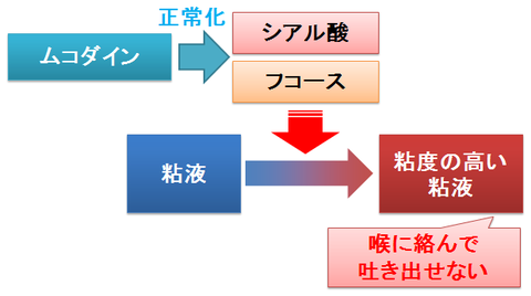 ムコダイン～シアル酸とフコース比の正常化