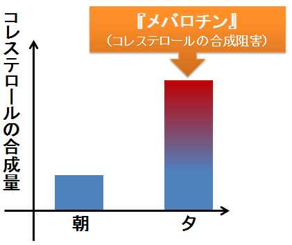 メバロチンを夕食後に服用する理由