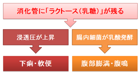 乳糖不耐症のメカニズム