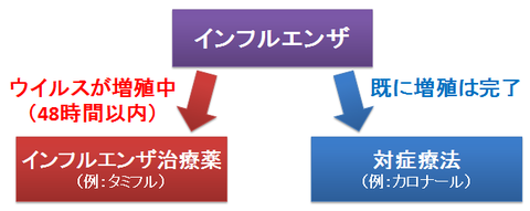 インフルエンザの根本治療と対症療法