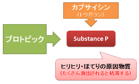 プロトピックとSubstanceP