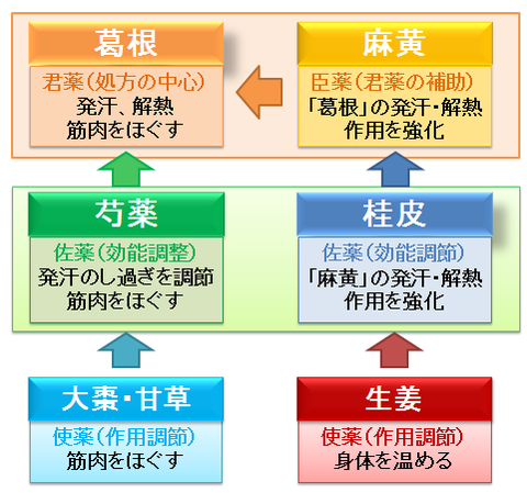 葛根湯の君臣佐使