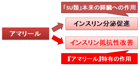 アマリール～SU類としての作用と、膵外の作用