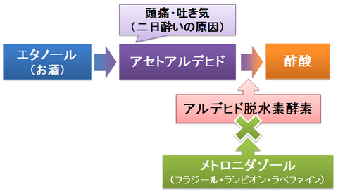 メトロニダゾールとアルコールの分解