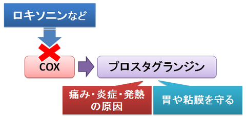 ロキソニンが胃を荒らす理由