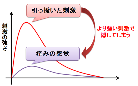 痒みと引っ掻く刺激