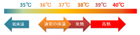 ヒトの深部体温