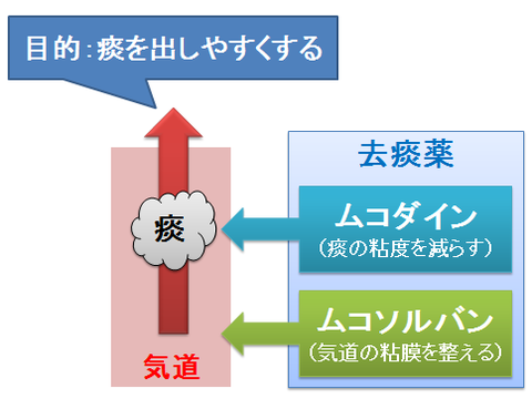 ムコダインとムコソルバンの作用の違い