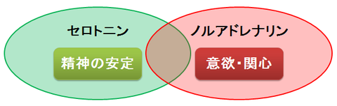 セロトニンとノルアドレナリン