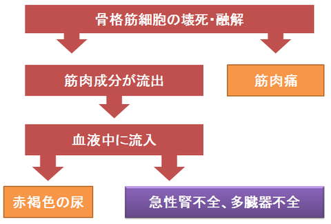 横紋筋融解症