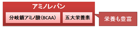 アミノレバン～BCAAと五大栄養素