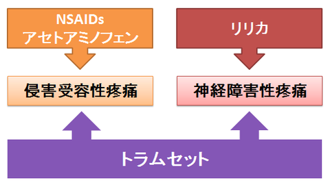 トラムセット～侵害受容性と神経障害性