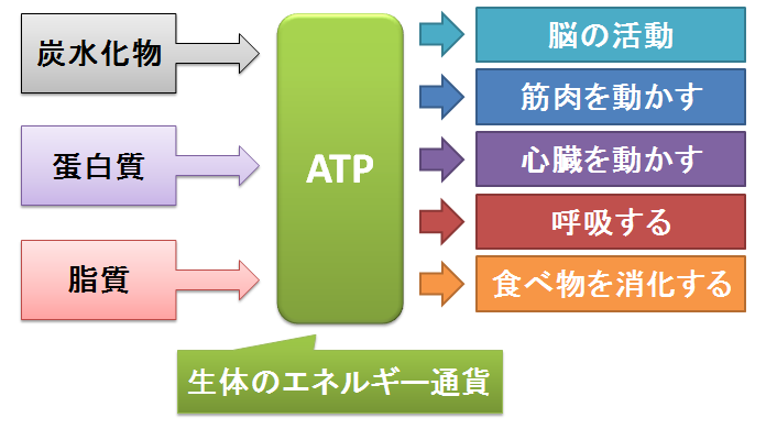 アデホス