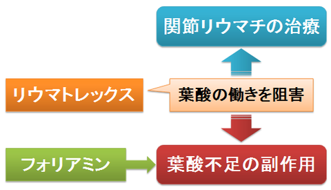 リウマトレックスとフォリアミンを併用する理由