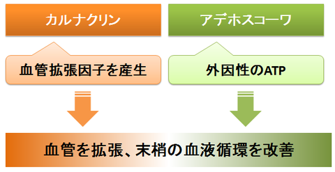 カルナクリンとアデホスコーワ