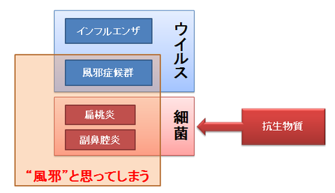 風邪と抗生物質