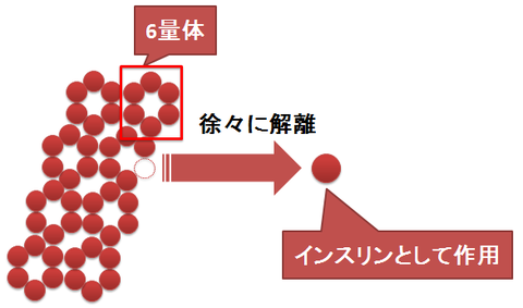 トレシーバ～複合体からの解離