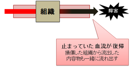 虚血再灌流３