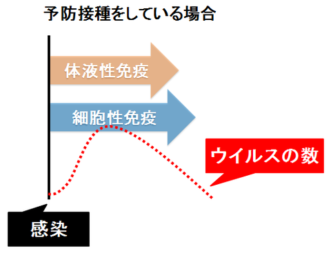 予防接種をしている時のウイルスの数