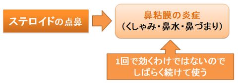 ステロイドの点鼻～目的と即効性