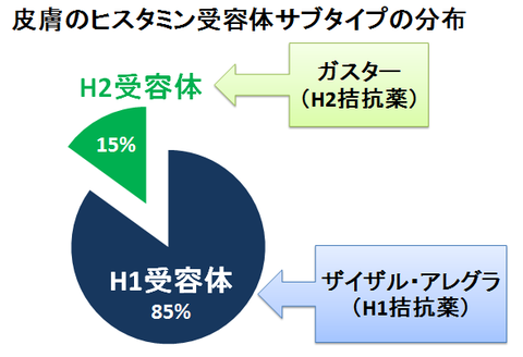 皮膚のヒスタミン受容体