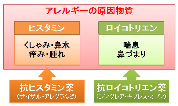 オロパタジン 強 さ