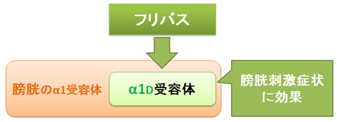 フリバス～膀胱刺激症状への効果