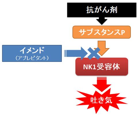 イメンドの作用機序～サブスタンスPとNK1受容体