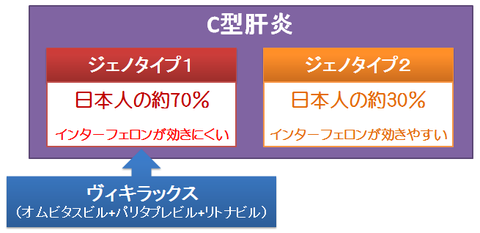 ヴィキラックスと日本人のジェノタイプ