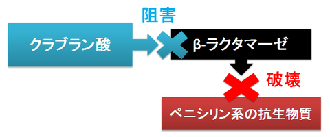 クラブラン酸とβラクタマーゼ