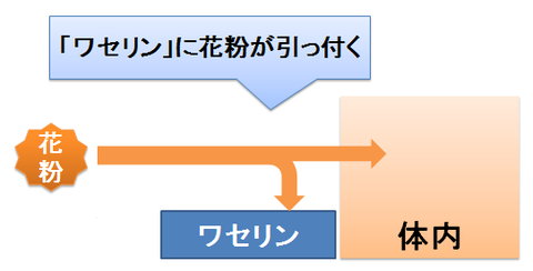 ワセリンに花粉が引っ付く