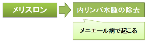 メリスロン～内リンパ水腫の除去