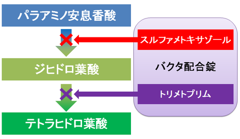 バクタの葉酸合成阻害