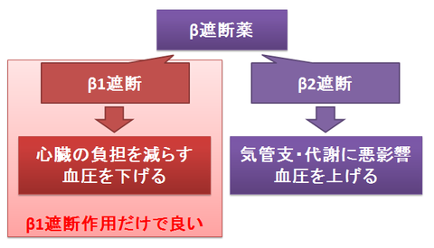 β遮断薬の選択性