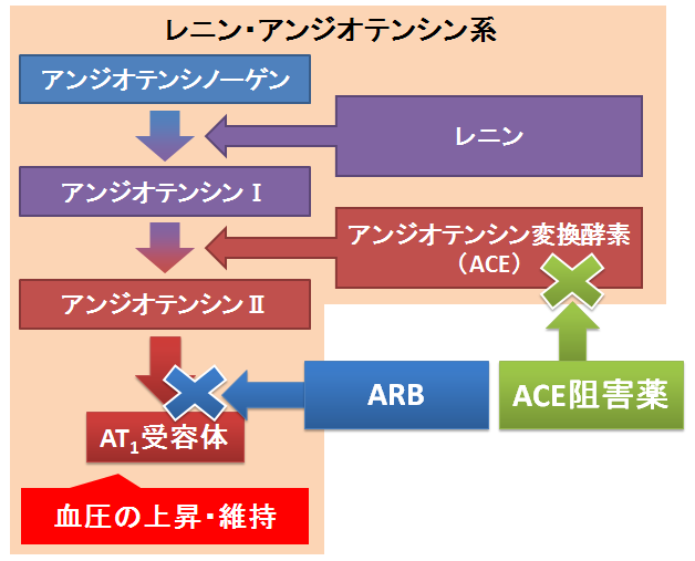お薬Q＆A　〜Fizz Drug Information〜「ARB」と「ACE阻害薬」、同じ高血圧の治療薬の違いは？～効果と空咳の副作用、使用実績の差