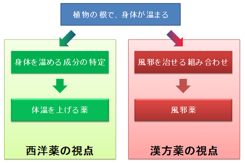 漢方薬と西洋薬２